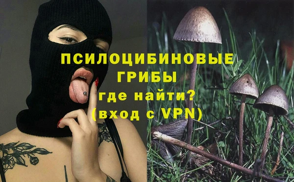 стафф Богородицк