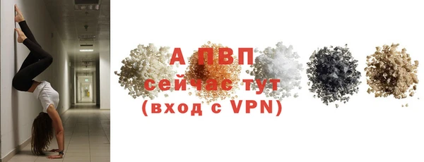 стафф Богородицк