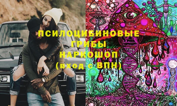 стафф Богородицк