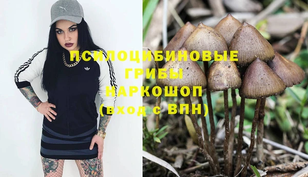 Альфа ПВП Богородск