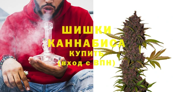 стафф Богородицк